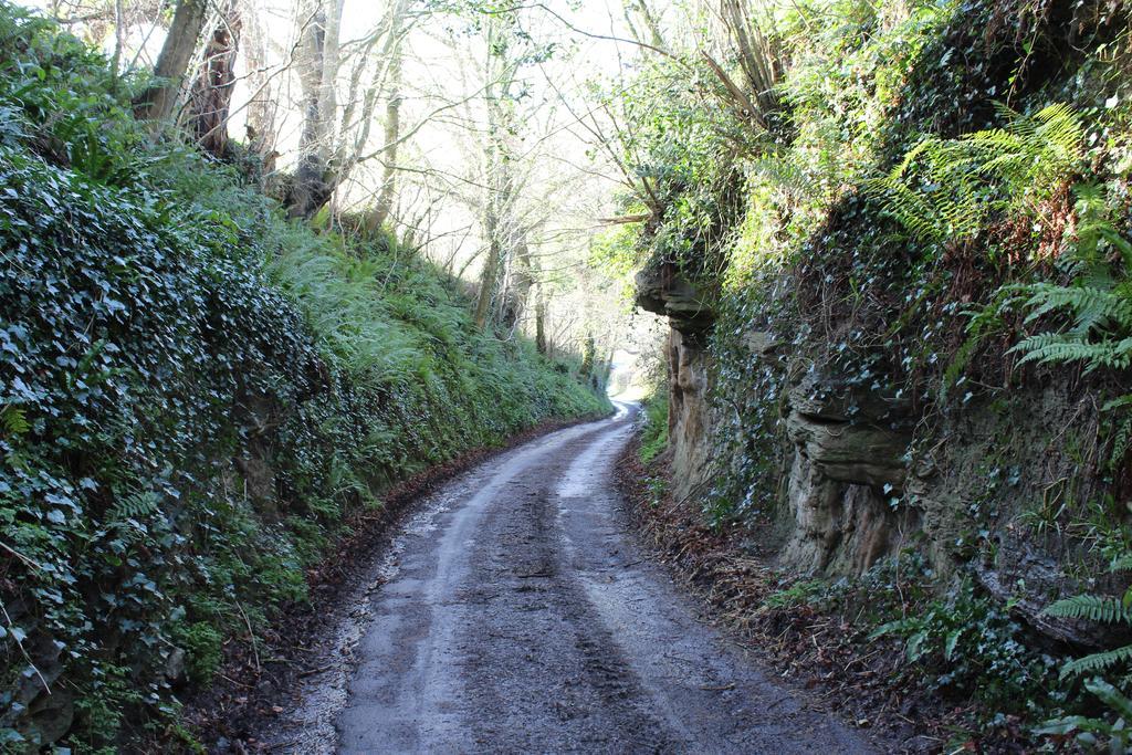 Cherrybrook Glastonbury Exteriör bild